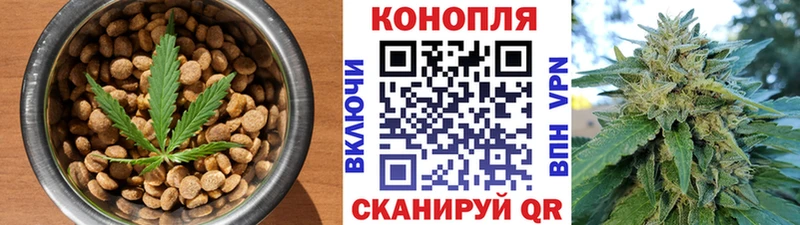 Купить где  Куса  Canna-Cookies конопля 
